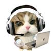 猫meme故事汇