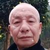 白头翁