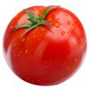 小番茄🍅🍅