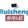 徐州瑞声兽用B超厂家