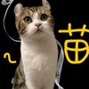 🐾 卷᳐卷᳐耳੭ﾞ
