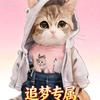 🐱追梦¹⁰²⁴（闭关中）