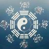知其白，守其黑