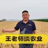 王老师谈农业（易创种业）