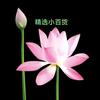 精选小百货