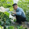 小凯《村支书》