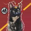 弓手冬郎