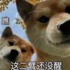 阡陌（萤火突击）