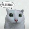 石头福瑞帝者战神