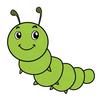 毛毛虫！