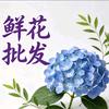 花与晚风