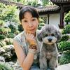 @元宝是只灰泰迪