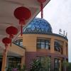 向春籽