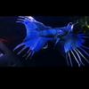 小彬仔国斗水族馆