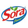 Sora_Company