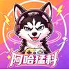 📰阿哈🐺速报社🎮