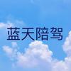 蓝天教开车