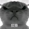 二三23