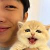 猫爸阿力呀
