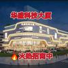 冰桐玫瑰
