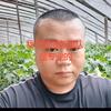 陈老师植保服务