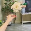 煙臺的武漢美眉