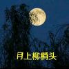 月上柳梢头
