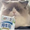 小橘子。