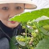 阿莲草莓园🍓🍓