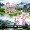 苗山侗水杨哥