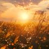 金色阳光.☀