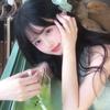 洋芋