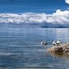 老韩唠唠房