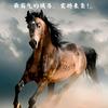 骏华五金