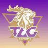 TLG云顶之弈分部