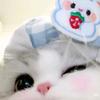 uu