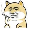 阿斯兰母