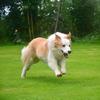 😀