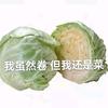袖子推文