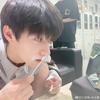 豚踢兔的猫