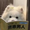 瑶池小吗喽