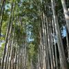 Jay故里唱情歌
