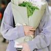 金鱼鱼鱼yu