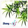 Zhang · 4G