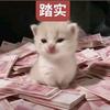 启信
