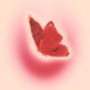 Red·cut