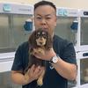北京宏哥腊肠犬之家