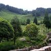 雨啸山庄