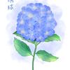 娜娜绘画工作室