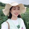 蓝莓小姐姐